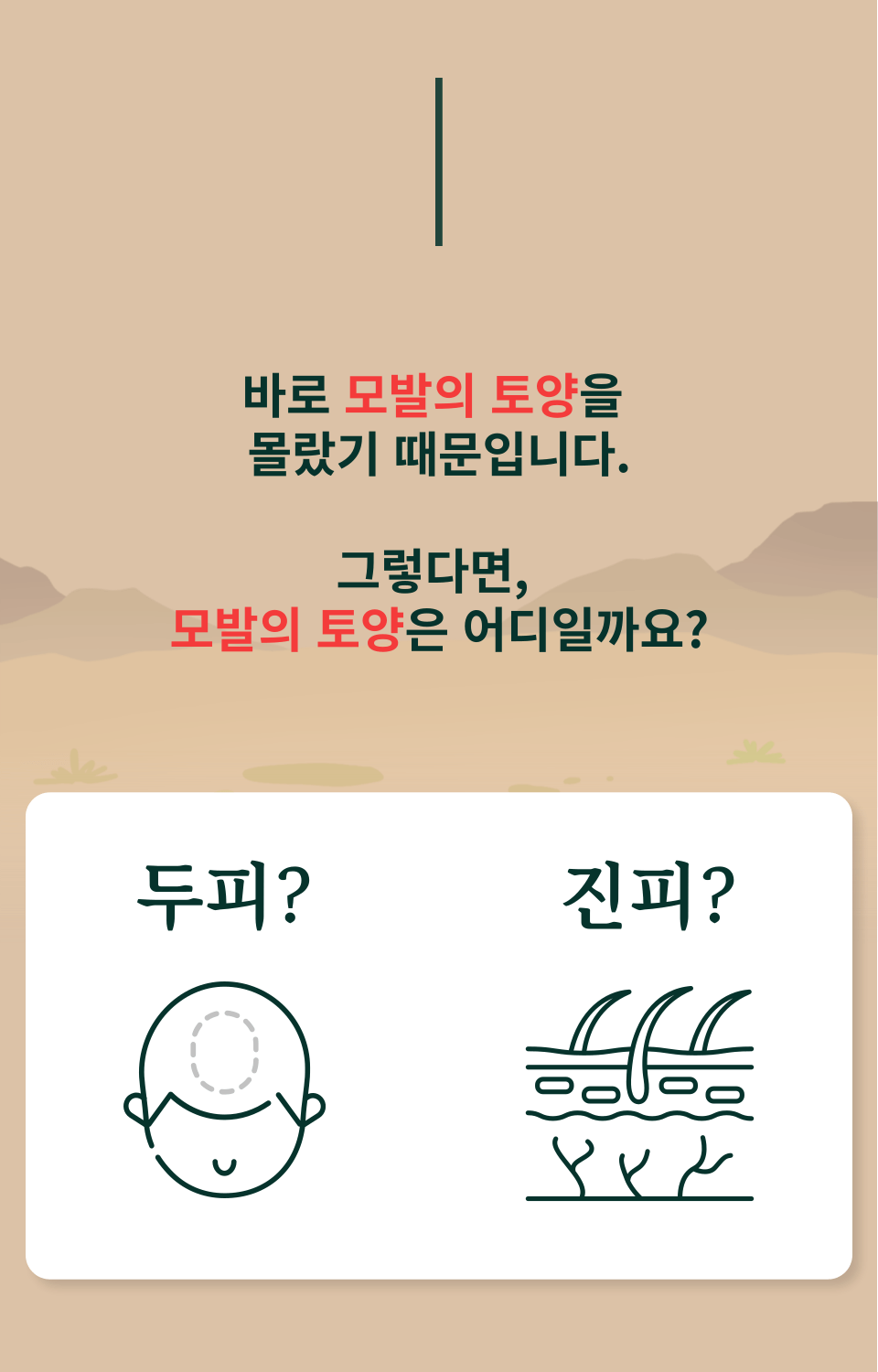 동명정환 모발의 토양